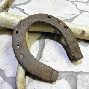 Può includere: Un ferro di cavallo antico e arrugginito, con segni di usura visibili. Il ferro di cavallo è di colore marrone scuro e presenta diversi fori quadrati per i chiodi. Un ramo di legno chiaro è sullo sfondo.