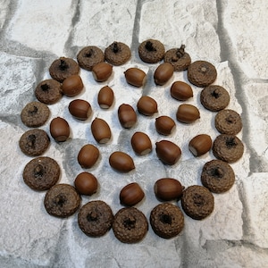 Natural Dried Acorns with Caps: Autumn Craft Decoration, 21 Pieces