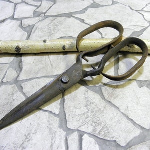 May include: Antique metal shears with large loop handles and long blades. The shears are a dark, weathered gray color, showing signs of age and use. A light-colored wooden stick rests behind the shears.