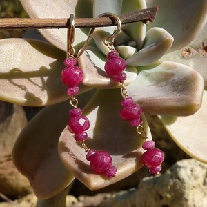 May include: Dangling earrings featuring faceted, deep pink gemstones strung on delicate gold-colored chains. The earrings have a lever-back closure and are displayed against a blurred background of a succulent plant.