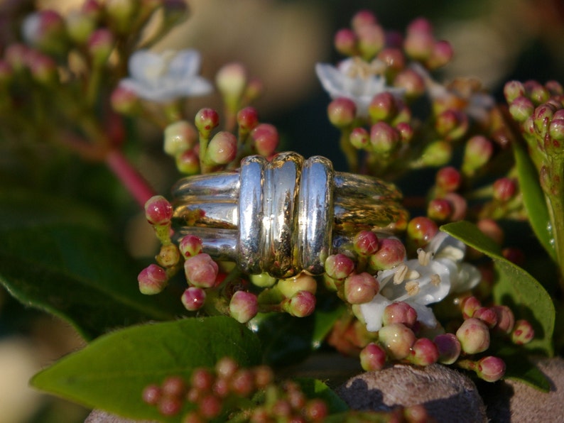 Two-tone sterling silver ring enhanced with yellow gold