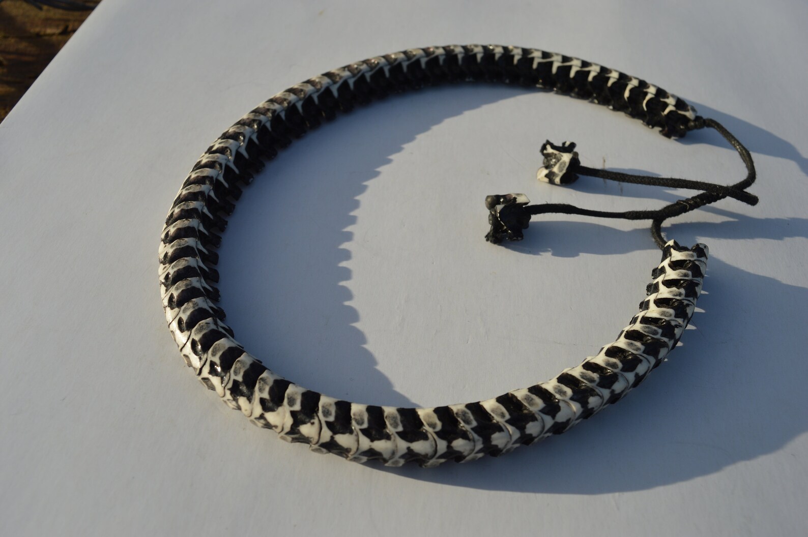 A lovely snake bone vertebrate necklace curiosity unusual Etsy