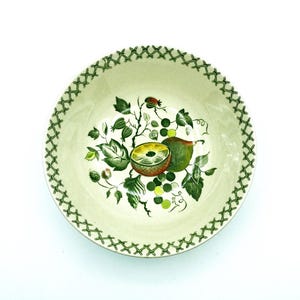 Vintage Johnson Brothers Arbor Serving Bowl