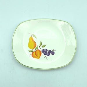 Salem China Vintage Fruit Oval Plate