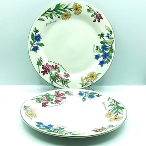 Vintage Oneida Geranium Dinner Plates, Set of 2