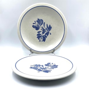 May include: Two ceramic plates with a floral design. The plates are white with a blue floral pattern in the center and a blue border. One plate is in the foreground, and the other is slightly behind it.
