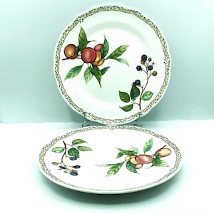Vintage Noritake Royal Orchard Dinner Plates, Set of 2