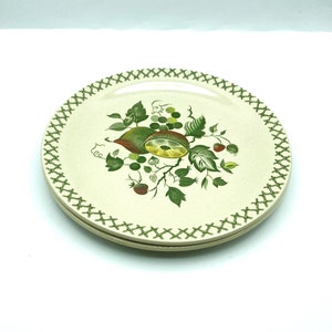Set of 2 Vintage Johnson Brothers Arbor Dinner Plates