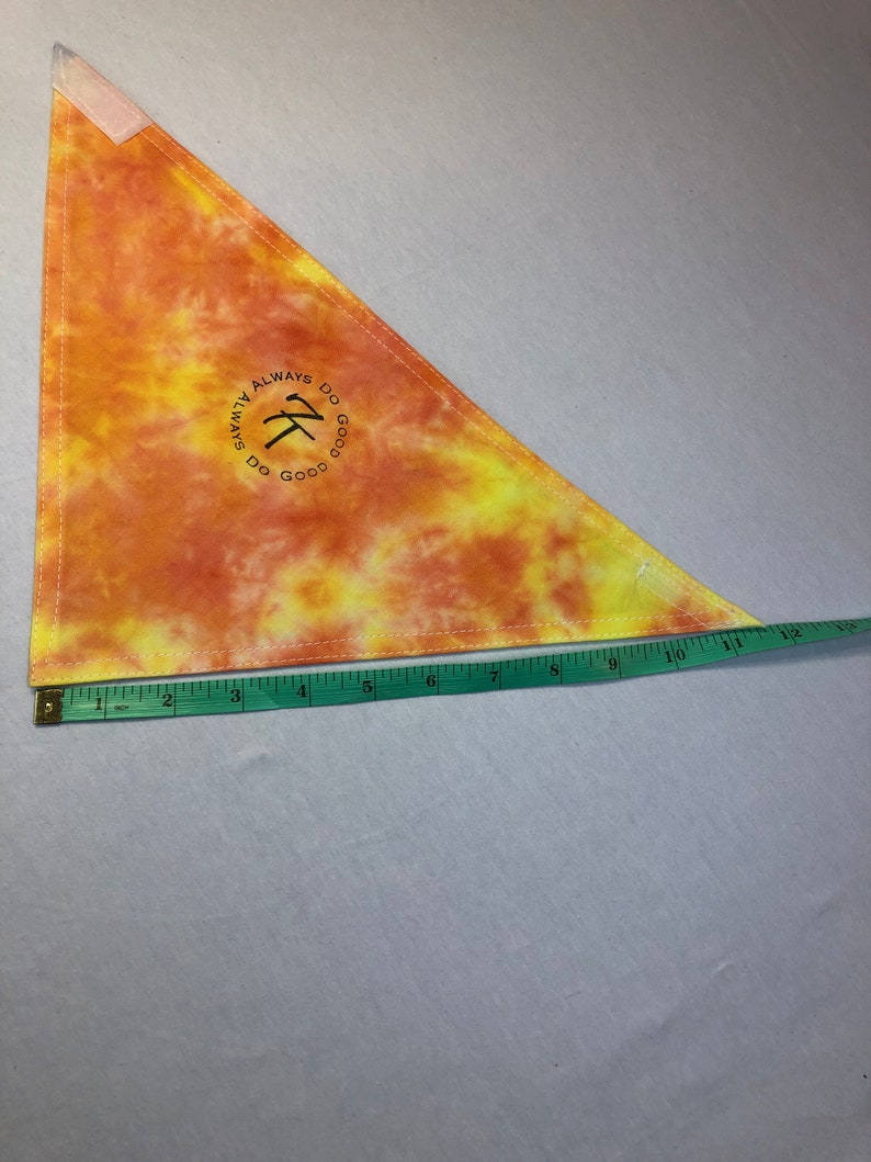 Dog Bandana Tie Dyed Custom Colors Bandanna