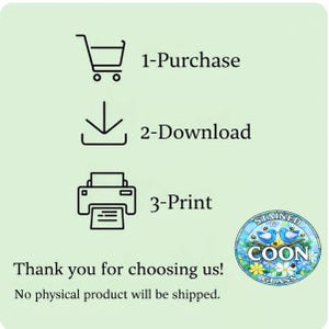 May include: An image with a light green background shows a shopping cart, a downward arrow, and a printer icon, each with a number and a word. Text reads "Thank you for choosing us! No physical product will be shipped." A circular logo says "Stained Coon Glass".