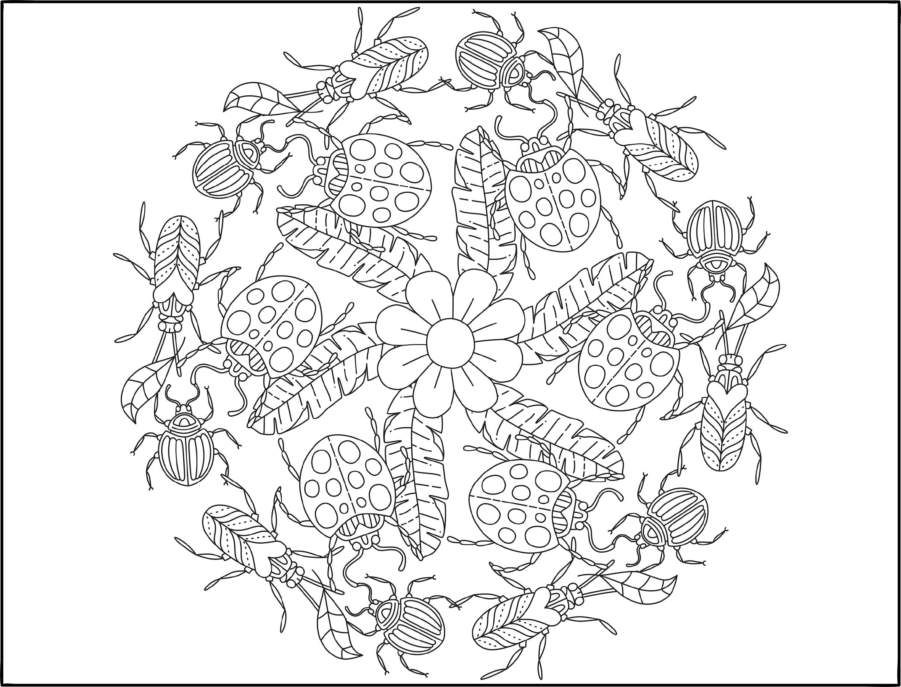 Mandala Coloring Pages 10 Spring Designs - Etsy