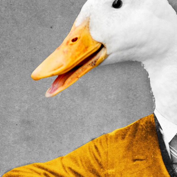 GOOSE Duck Portrait ART PRINT Animal vestido como una persona Personas Peculiar Imagen de pared Cabeza con cuerpo humano en ropa Divertido Vintage Inusual Etsy Mexico