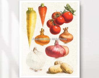Rustic Vegetable Art Print, Kitchen Wall Decor