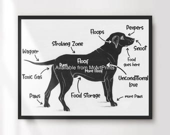 Funny Dog Anatomy Chart Art Print, Dog Lover Gift