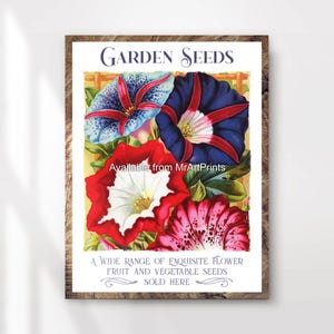 Tuinieren bloemzaden vintage reclame kunst print poster muur foto antieke stijl geïllustreerd bloemen decor A4 A3 A2 A1 GEDRUKT ELKE MAAT