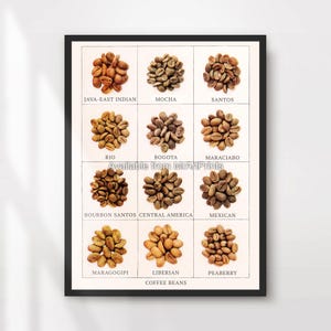 Peut inclure: Un tableau vintage montrant différents types de grains de café, notamment Java-East Indian, Mocha, Santos, Rio, Bogota, Maracaibo, Bourbon Santos, Amérique centrale, Mexicain, Maragogipe, Libérien et Peaberry. Le tableau est intitulé "Grains de café".