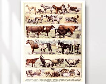 Vintage Farm Animals Art Print Poster, Rustic Cottagecore Decor