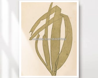 Seaweed Art Print: Seaside Green Coastal Wall Decor
