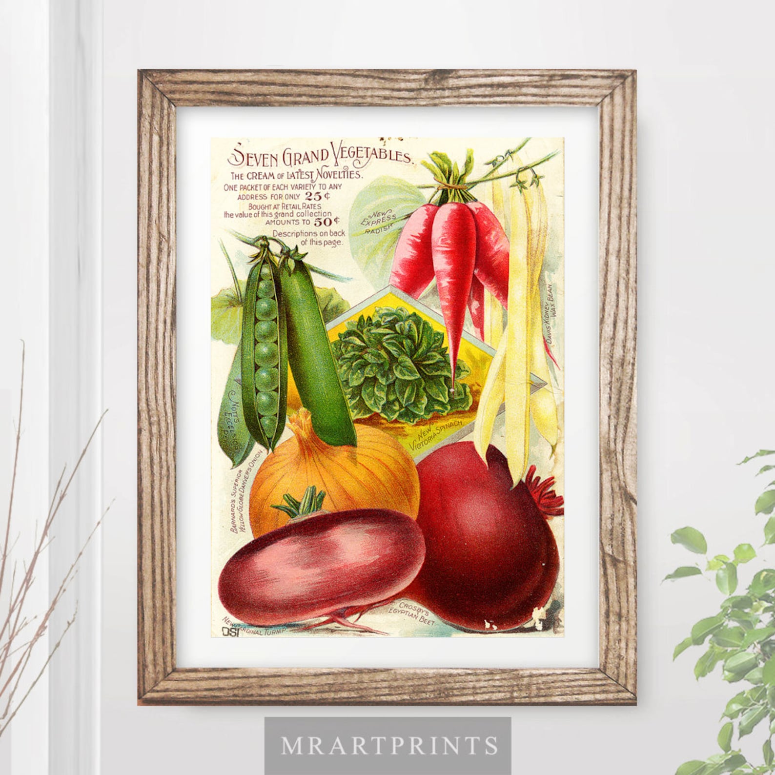 VINTAGE KITCHEN Vegetables Art Print / Poster Vegan Vegetarian - Etsy