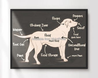 Funny Dog Anatomy Art Print, Humorous Dog Lover Gift
