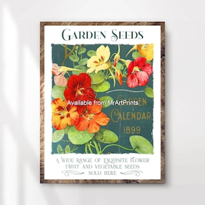Tuinieren bloemzaden vintage reclame kunst print poster muur foto antieke stijl geïllustreerd bloemen decor A4 A3 A2 A1 GEDRUKT ELKE MAAT