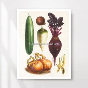 Vegetables Kitchen Art Wall Picture Poster Print Rustic Country Decor Veggie Lover Vegan Vegetarian A4 A3 A2 A1 PRINTED ANY SIZE