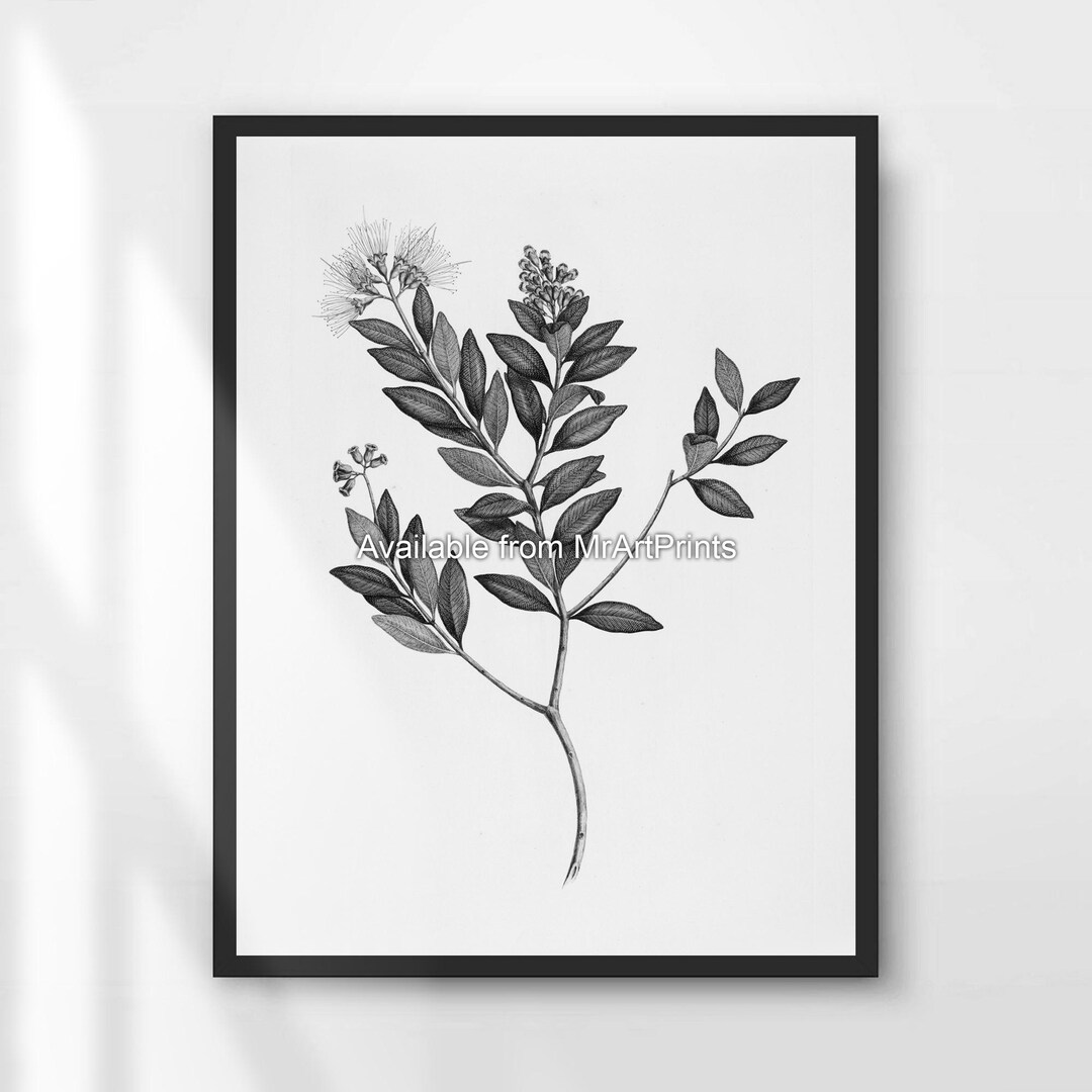 Botanical Leaf Art Print | Black and White Minimalist Home Decor - Etsy