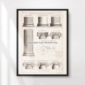 Pillars Columns Classical Architectural Illustration Architect Drawing Art Print Poster Wall Picture A4 A3 A2 A1 PRINTED ANY SIZE