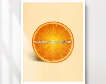 Quadro decorativo de laranja para cozinha - Decoração fresca para sala de jantar
