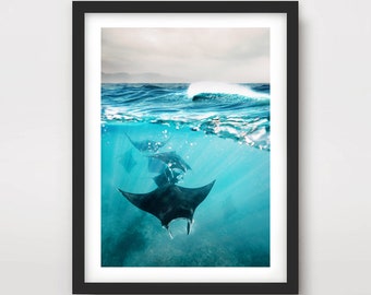 Manta Ray Art Print | Underwater Ocean Photography, Seascape Home Decor
