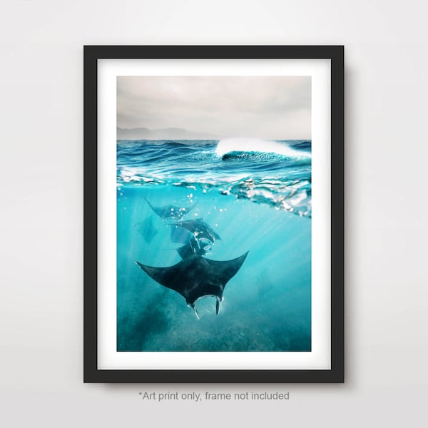 MANTA RAY Underwater Cross Section Photography Art PRINT Deep Sea Ocean Sealife Blue Seascape Photo Picture Poster Waves Home Decor A4 A3 A2