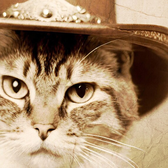 Poster In Metallo Per Amanti Dei Gatti – Cowboy Police Cat 'That's What I Do', Targa In Latta 20x30 Cm, Decorazione Da Parete Per Bar, Garage, Casa, Regalo Divertente
