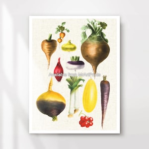 Vegetables Kitchen Art Wall Picture Poster Print Rustic Country Decor Veggie Lover Vegan Vegetarian A4 A3 A2 A1 PRINTED ANY SIZE