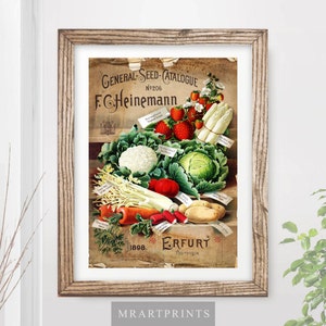 VINTAGE KITCHEN Vegetables Art Print / Poster Vegan Vegetarian Cooking Food Victorian Farm Illustration Home A4 A3 A2 (10 Size Options)