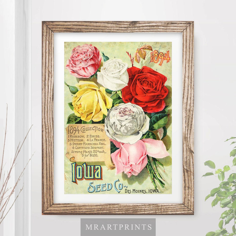 VINTAGE FLOWERS Art Print / Poster Victorian Garden Roses Etsy