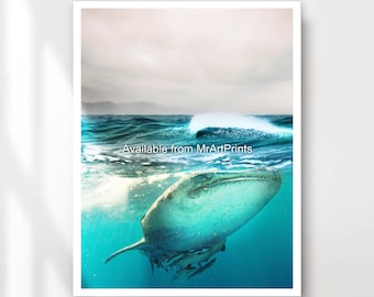Stampa artistica di uno squalo balena, quadro da parete con soggetti marini e oceanici