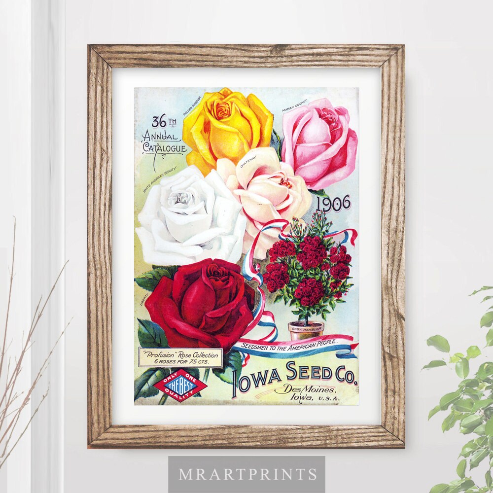 VINTAGE FLOWERS Art Print / Poster Roses Rose Floral Nature Etsy