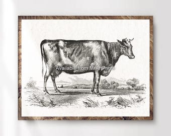 Vintage Dairy Cow Print | Farmhouse Cottagecore Wall Art