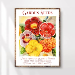 Tuinieren bloemzaden vintage reclame kunst print poster muur foto antieke stijl geïllustreerd bloemen decor A4 A3 A2 A1 GEDRUKT ELKE MAAT