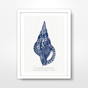 Blue Seashell Shell NAUTICAL ART PRINT Seaside Illustration Picture Wall Sea Ocean Bathroom Beach Home Decor A4 A3 A2 8x10 12x16 16x20 inch