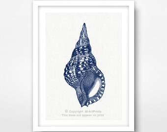 May include: A blue and white seashell illustration in a white frame. The seashell is a spiral shape with a pointed top and a rounded bottom.