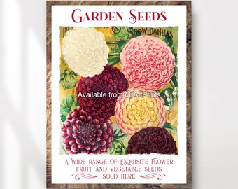 Vintage Dahlias Flower Seeds Art Print, Antique Floral Decor