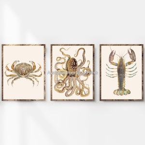 3 Three Triptych Neutral Nautical Art Wall Picture Poster Print Crab Octopus Lobster Sepia Seaside Sealife A4 A3 A2 A1 PRINTED ANY SIZE