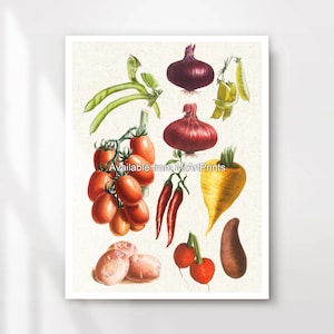 Vegetables Kitchen Art Wall Picture Poster Print Rustic Country Decor Veggie Lover Vegan Vegetarian A4 A3 A2 A1 PRINTED ANY SIZE