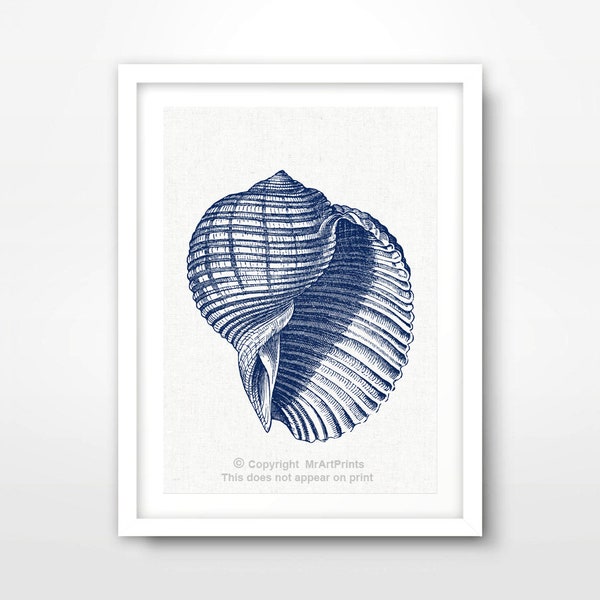 Sea Shell Print - Etsy