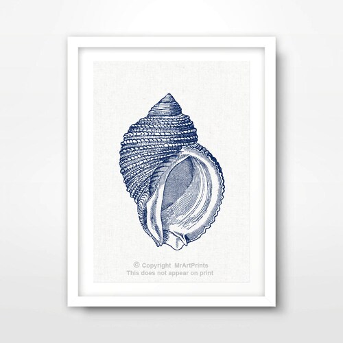 Nautilus Shell Picture Blue and White Art Nautical Decor - Etsy