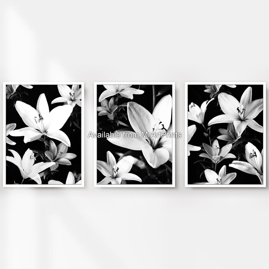 Black and White Lily Triptych Art Prints, Floral Wall Decor - Etsy