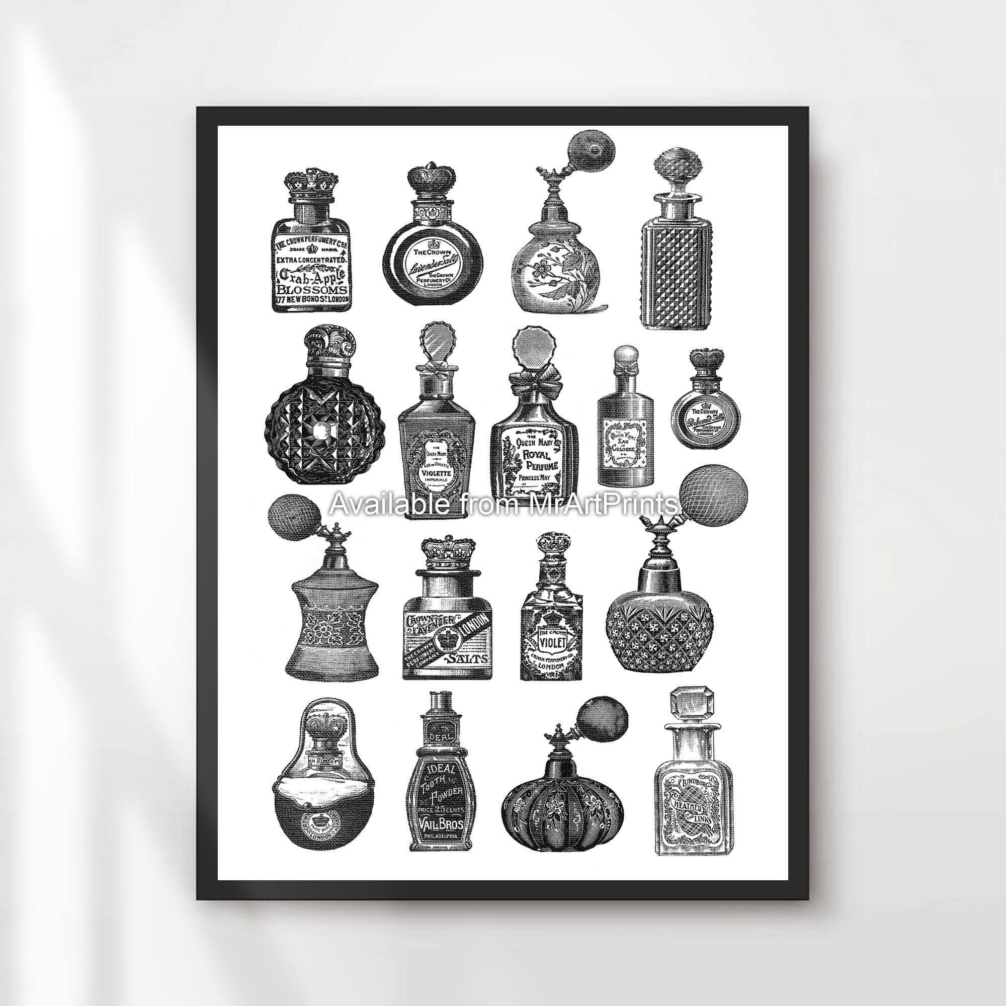 Vintage Perfume Bottles Chart Art Print, Black and White