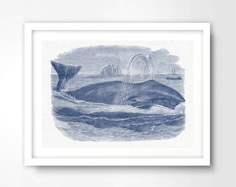 Blue Whale NAUTICAL ART PRINT Seaside Illustration Picture Wall Poster Sea Ocean Home Decor Interior Design A4 A3 A2 8x10 12x16 16x20 inch