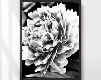 Black and White Flower Art Print, Stylish Minimalist Wall Decor